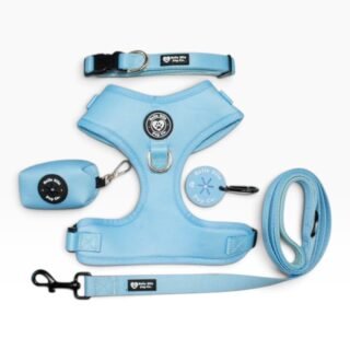 Conjunto Arnes y Correa para Mascotas